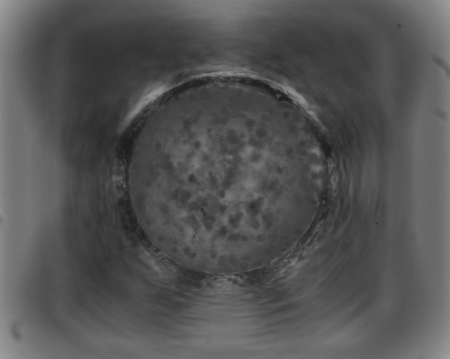 X0000096401255200801311343