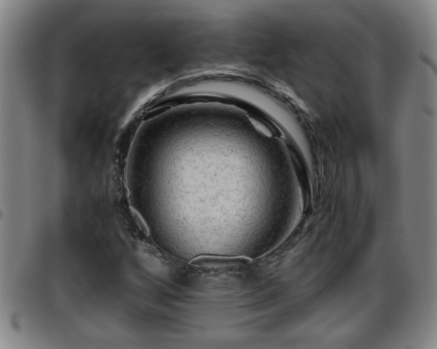 X0000096401256200801311343