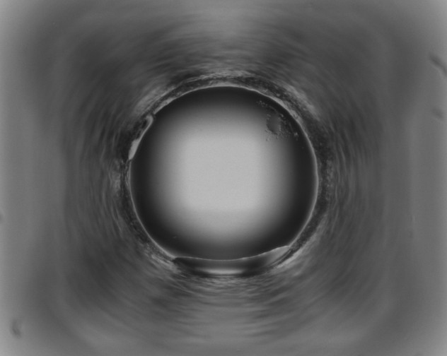 X0000096401257200801311343