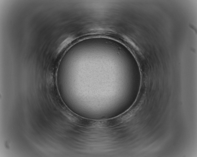 X0000096401259200801311343