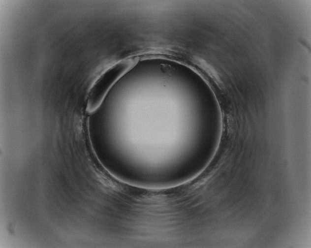 X0000096401260200801311343