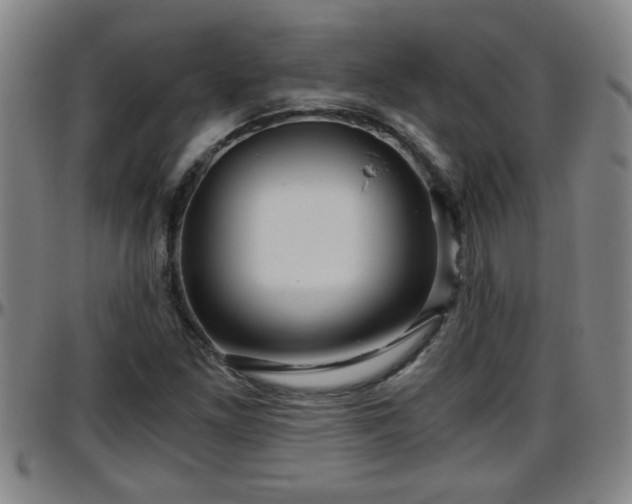 X0000096401261200801311343