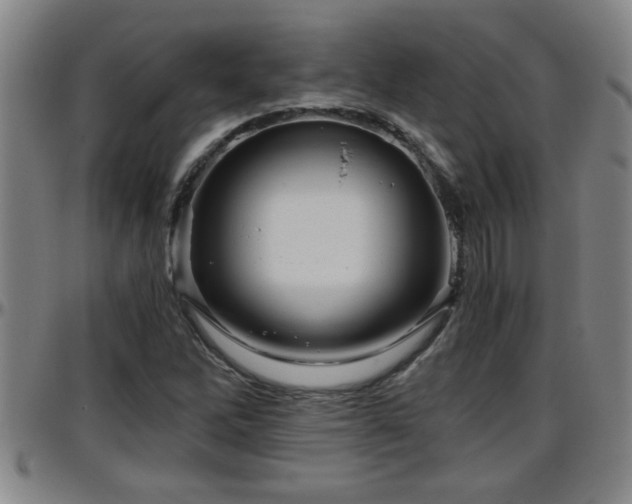 X0000096401262200801311343