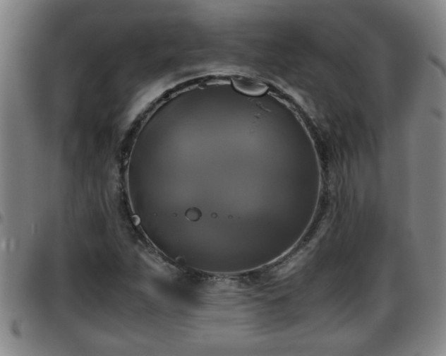 X0000096401263200801311343