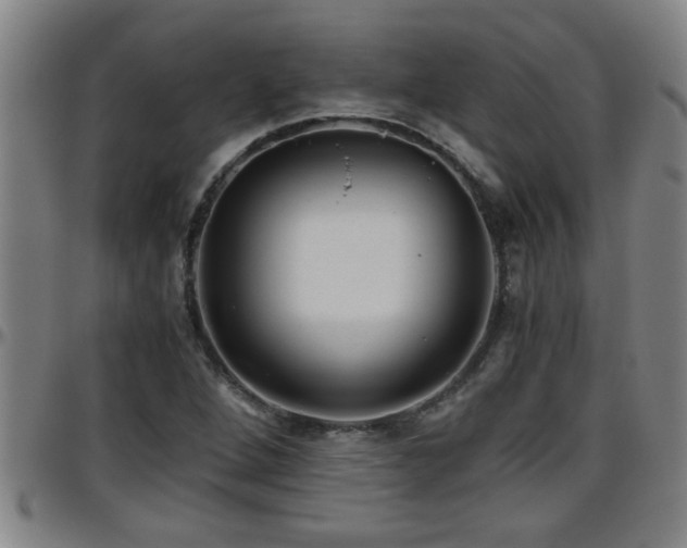 X0000096401264200801311343