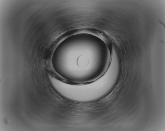 X0000096401265200801311343