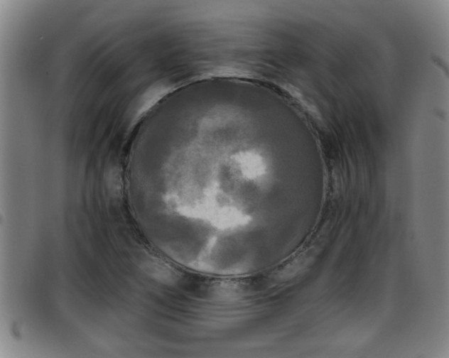 X0000096401266200801311343