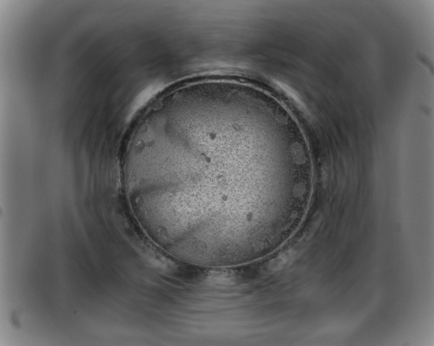 X0000096401267200801311343