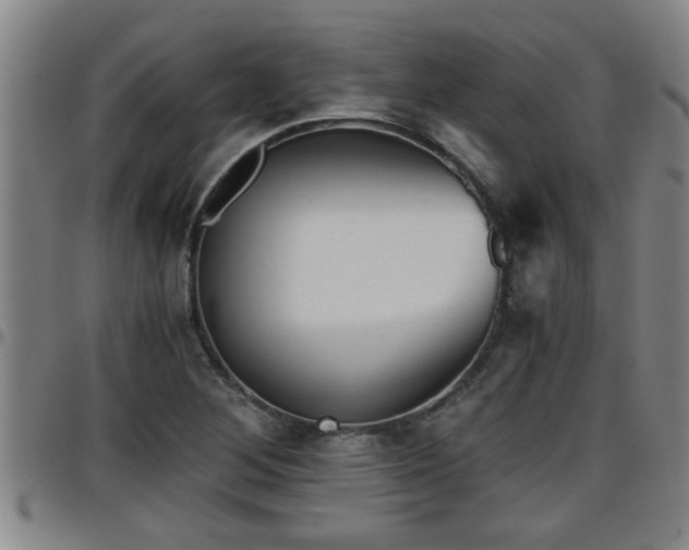 X0000096401268200801311343