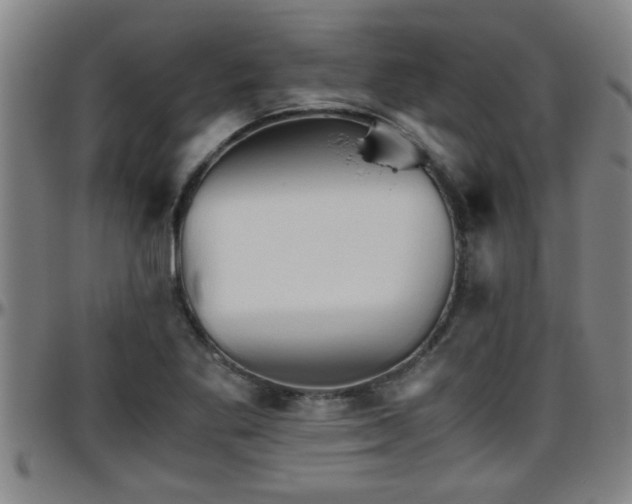 X0000096401269200801311343