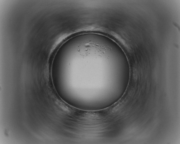 X0000096401270200801311343