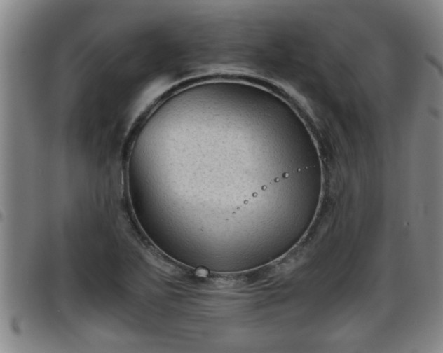 X0000096401271200801311343