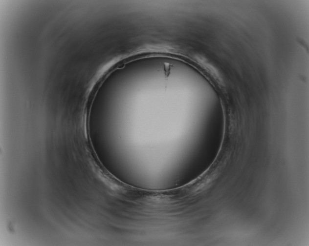 X0000096401272200801311343