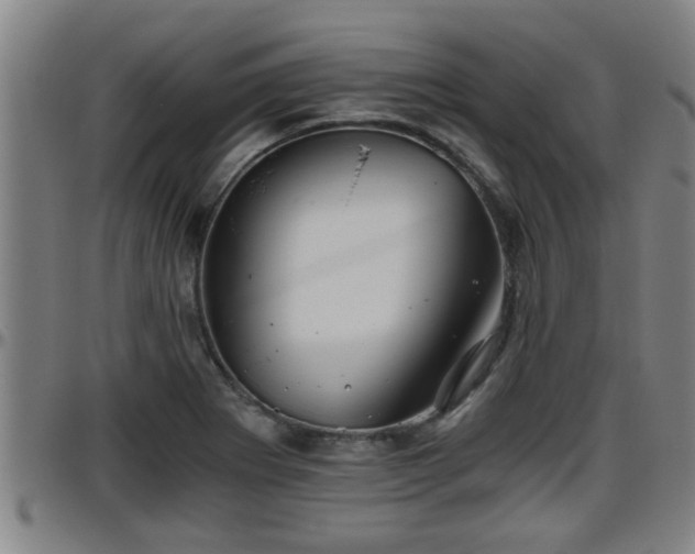 X0000096401273200801311343