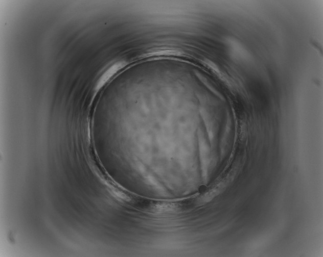 X0000096401274200801311343