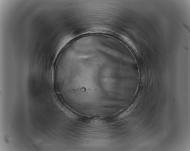 X0000096401275200801311343