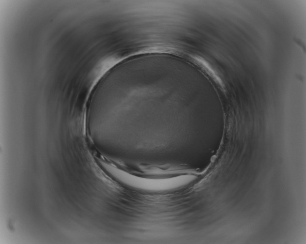 X0000096401276200801311343