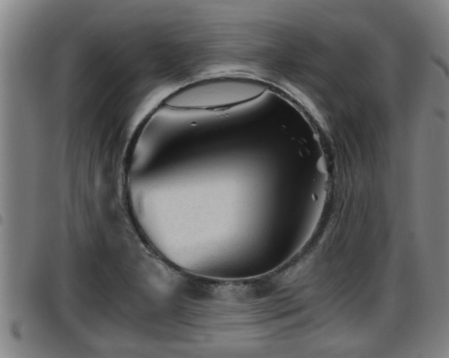 X0000096401277200801311343