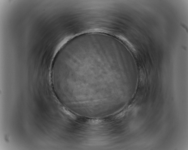 X0000096401278200801311343