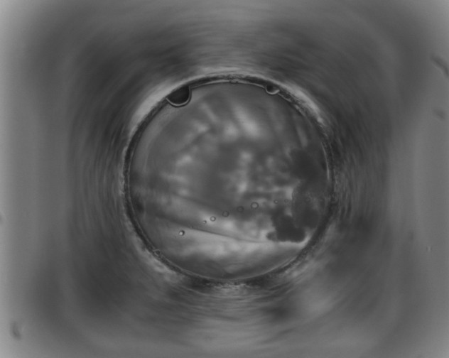 X0000096401279200801311343