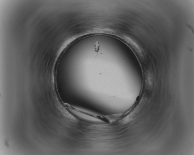 X0000096401280200801311343