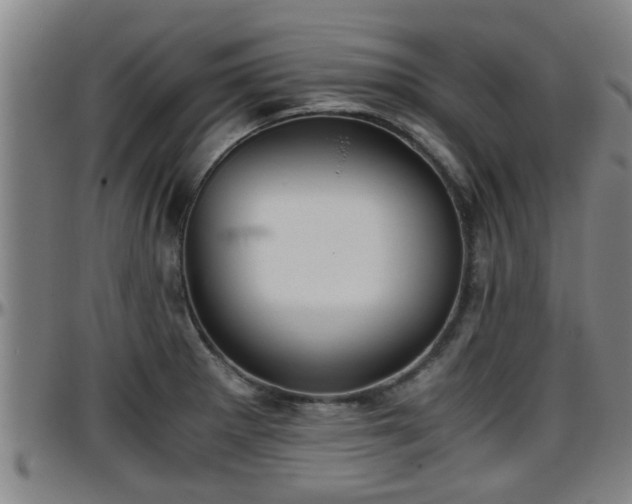 X0000096401281200801311342