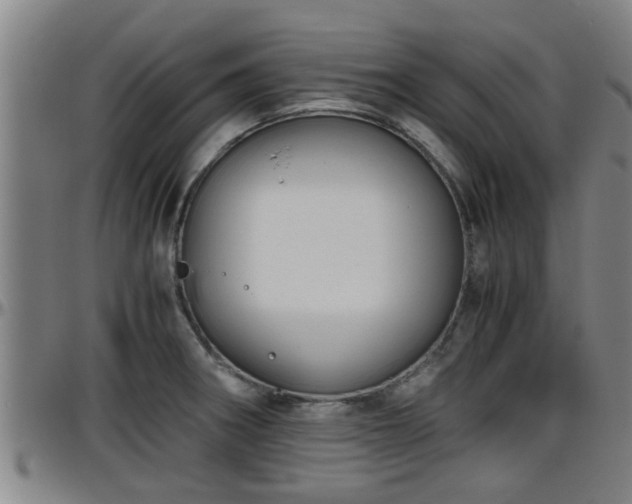 X0000096401282200801311342