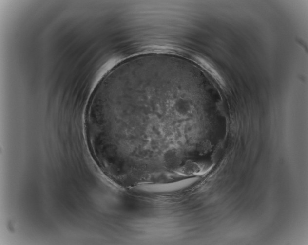 X0000096401283200801311342