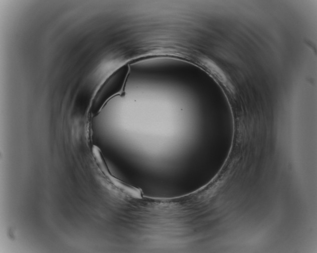 X0000096401284200801311342