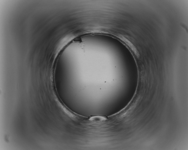 X0000096401285200801311342