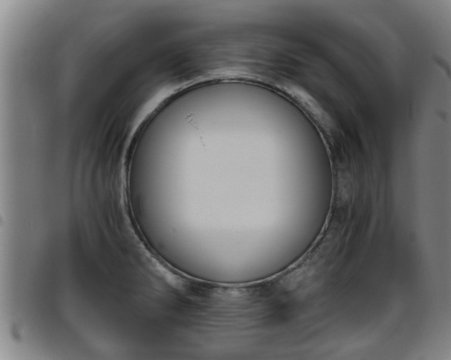 X0000096401286200801311342