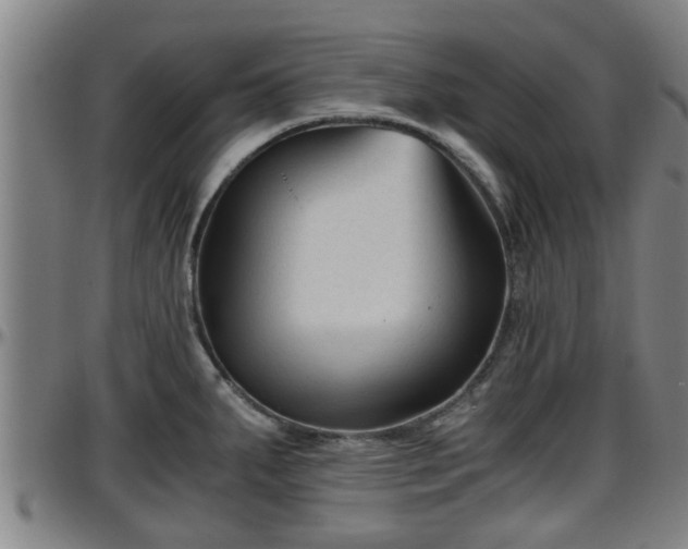 X0000096401287200801311342