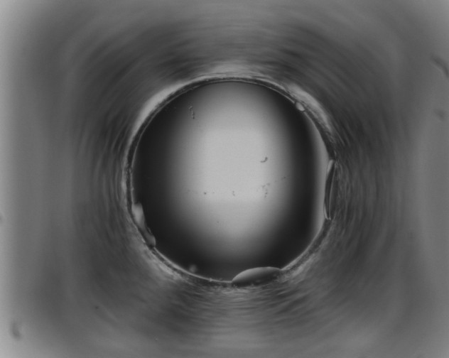 X0000096401288200801311342