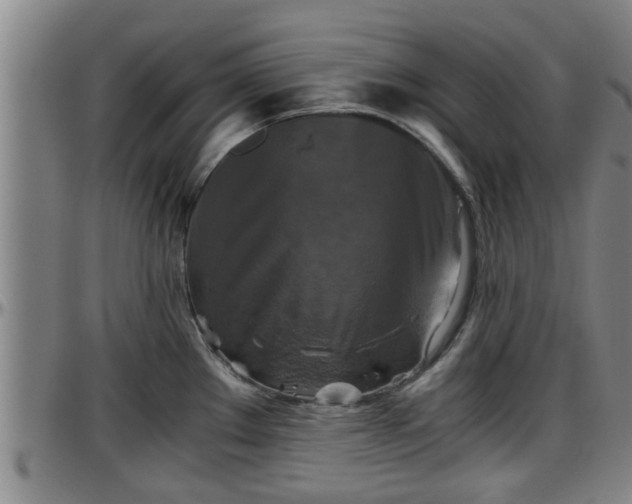 X0000096401289200801311342