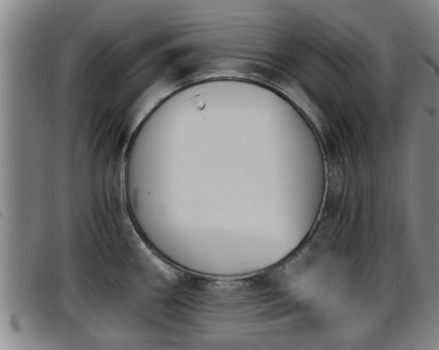 X0000096401290200801311342