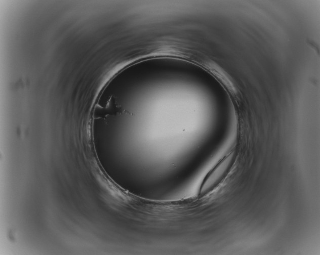 X0000096401292200801311342