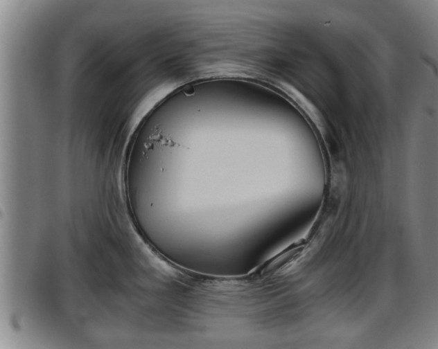 X0000096401293200801311342