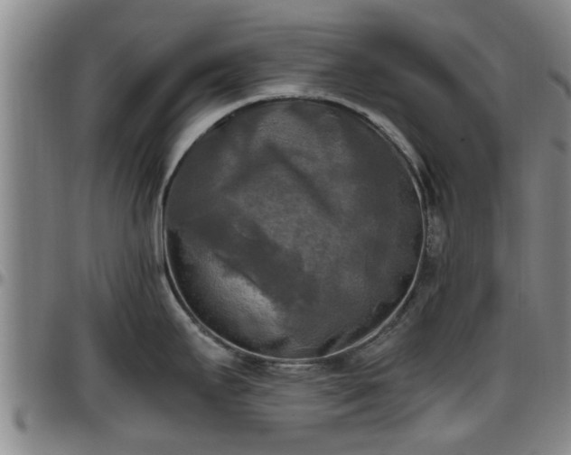 X0000096401295200801311342