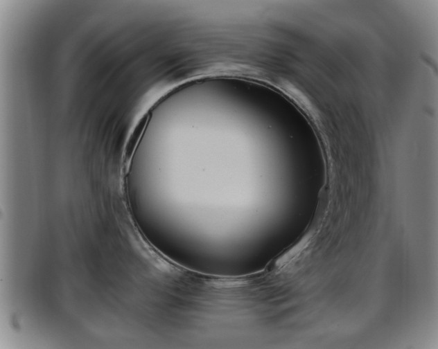 X0000096401296200801311342