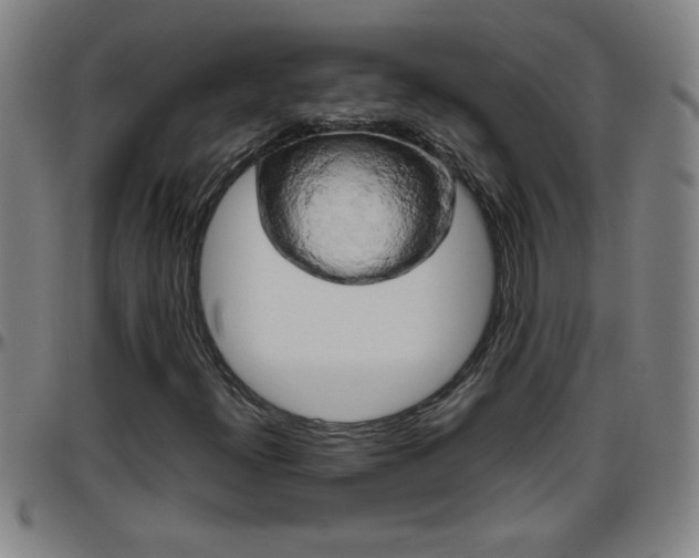 X0000096401300200801311342