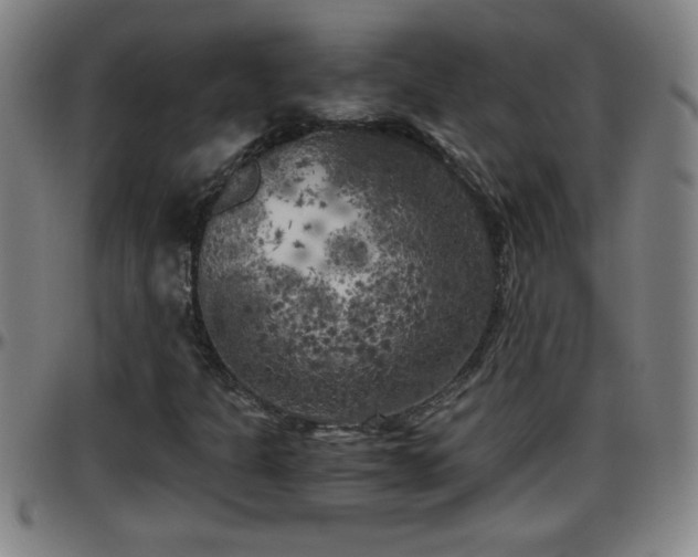 X0000096401301200801311342