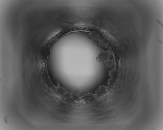 X0000096401302200801311342