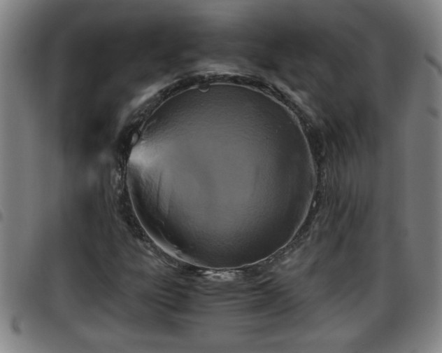 X0000096401303200801311342