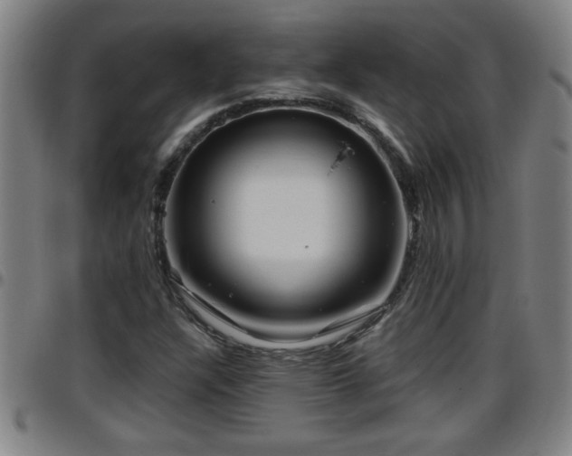 X0000096401304200801311342