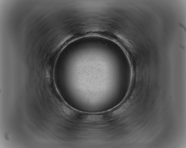 X0000096401305200801311342