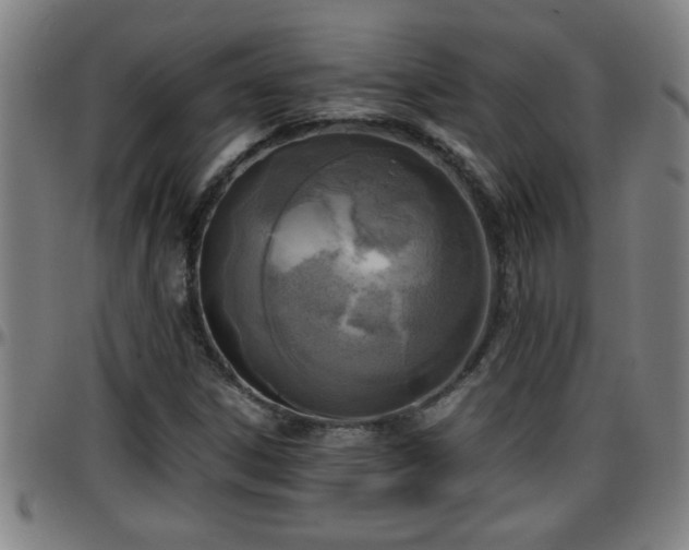 X0000096401306200801311342