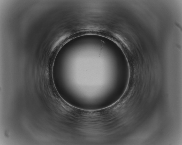 X0000096401307200801311342