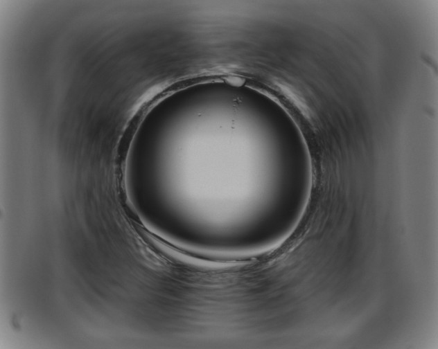 X0000096401308200801311342