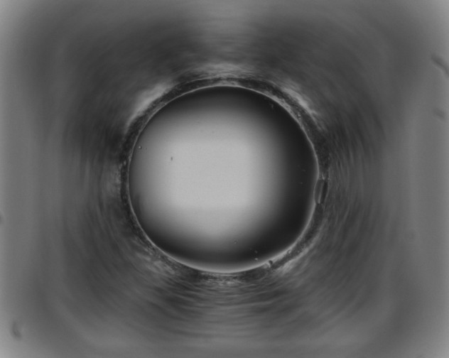 X0000096401309200801311342