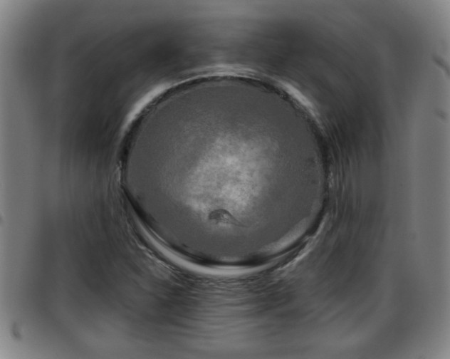 X0000096401310200801311342